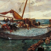 "Pilchards"