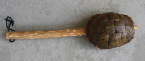 Box Turtle Shell Rattle.jpg