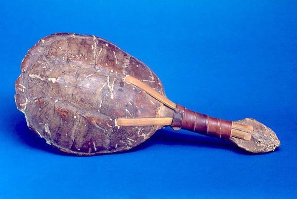 Snapping Turtle Rattle.jpg