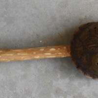 Box Turtle Shell Rattle.jpg