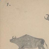 drawing of buffalo hunting2.jpg